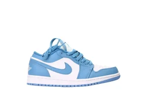 Air Jordan 1 Low Knochen