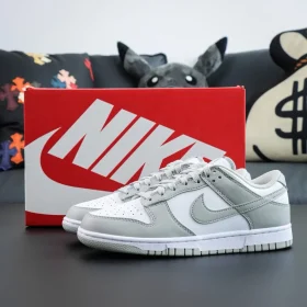 Buy Dunk Low 'Gray Tooth'