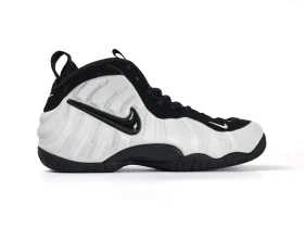 Air Foamposite Pro Wolf Grey